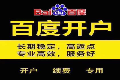 SEM公司成功案例分享：搜索引擎优化的力量